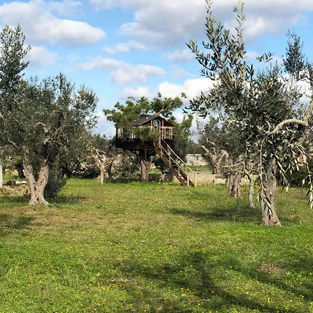 Apartament Casale Eliados